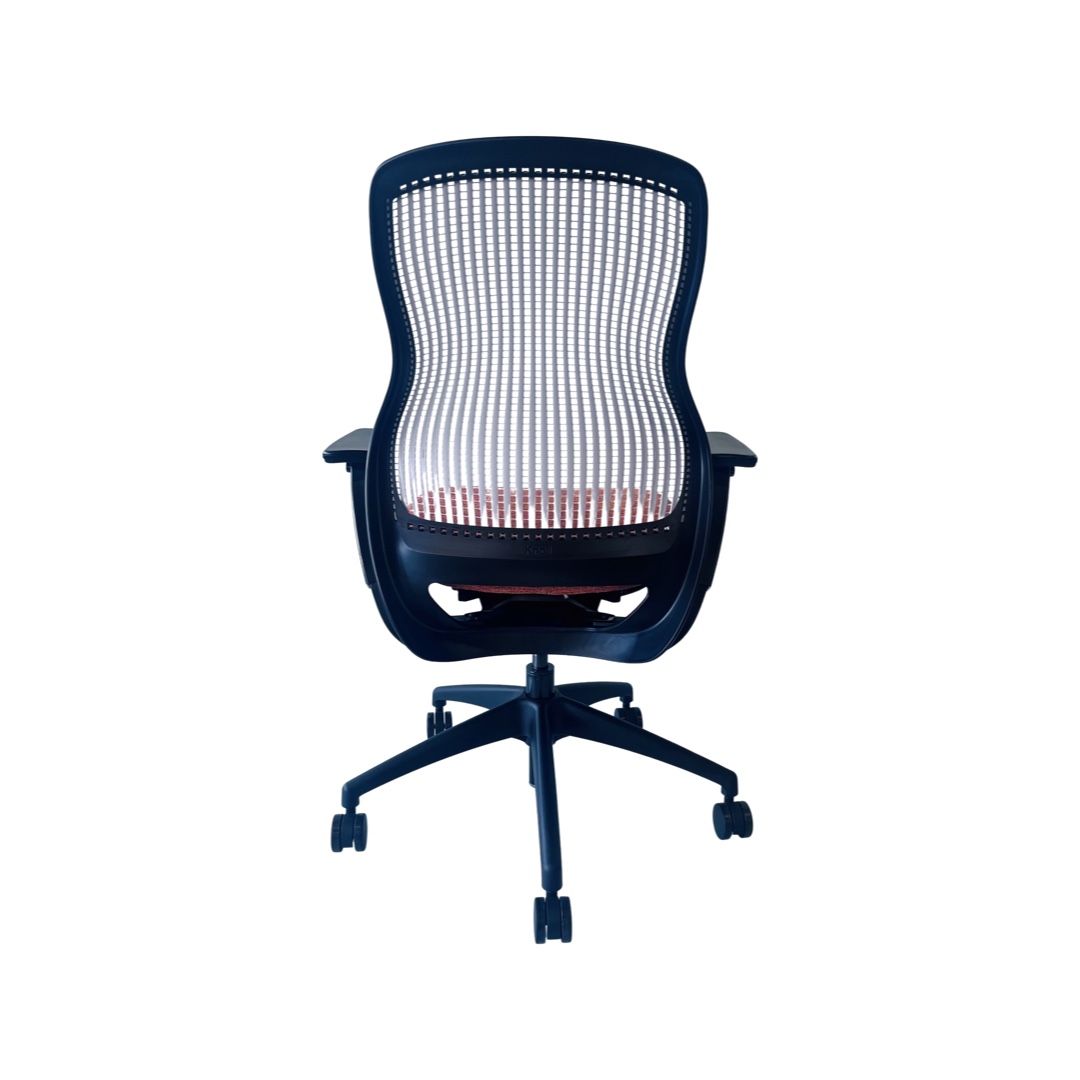 Knoll ReGeneration - Image 4