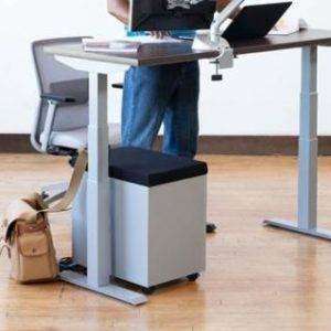 Sit To Stand