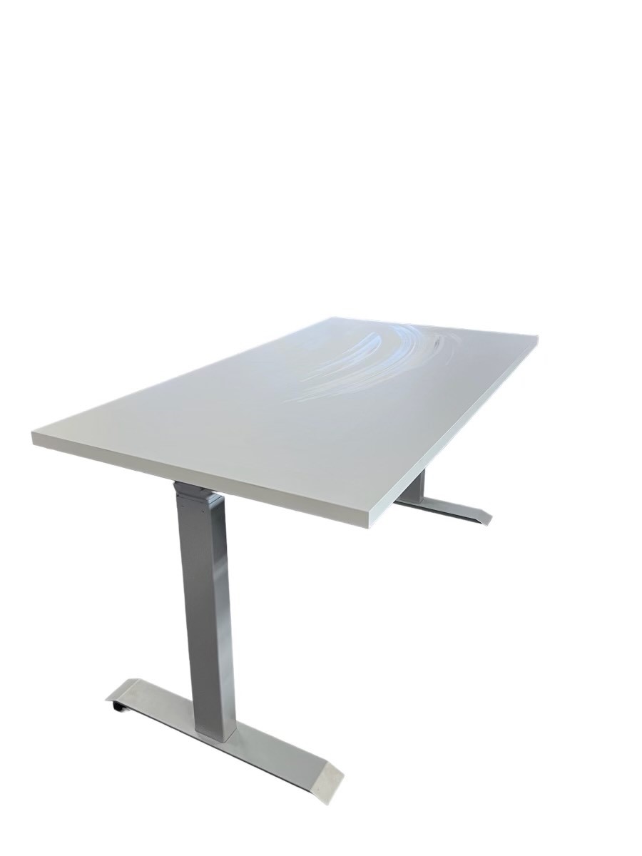 Electric Sit to Stand